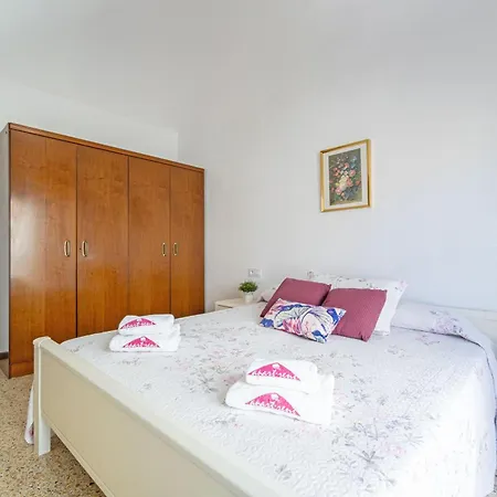 Basic Comfort Poeta Marquina 1º 2025 *